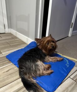 K&H Pet Products Cool Bed III Dog Cooling Mat, Cooling Dog Beds for Small Dogs, Dog Cooling Mat for Dog Carrier, Outdoor Dog Bed Cooling Pad for Dog, Pet Cooling Mat - Blue Small 17 X 24 Inches 24.0"L x 17.0"W x 2.0"Th 22 8158b ShRzL 1