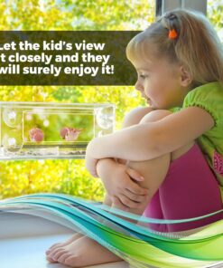 Wild Birds of Joy Window Bird Feeder with 4 Super Strong Suction Cups & Sliding Seed Tray, Large, Clear Acrylic, Easy Clean, Outdoor Bird Feeders, Outside View Up Close of Finch, Cardinal and Blue Jay 31 815GsGCmm4L