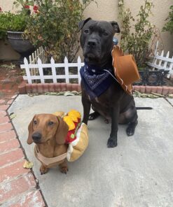 Funny Party Hats Cowboy Hat for Kids- Western Hat - Kids Cowboy Hat -Sheriff Hat - Children's Cowboy Costume Dress Up Brown Cowboy Hat & Navy Bandanna 15 815JUag0RJL