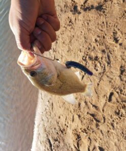 Entsport E Series - Camo Legend 2-Piece 7-Feet Casting Rod 24 Ton Carbon Fiber Baitcasting with 2 Tips - Medium and Medium Heavy Portable Bass Fishing Rod Baitcaster 48 815KcOkBlDL