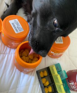 Zesty Paws Omega 3 Alaskan Fish Oil Chew Treats for Dogs - with AlaskOmega for EPA & DHA Fatty Acids - Hip & Joint Support + Skin & Coat Chicken Flavor (90 Soft Chews) 90 Count (Pack of 1) 53 815NFMvDkUL 2