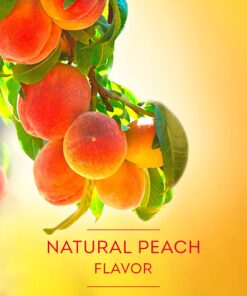 Lipton Peach Iced Tea Mix, Sweetened, Makes 10 Quarts (Pack of 6) 19 815OW7JJ nL