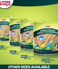 Living World - Spray Millet, 17.6 Oz – Premium Treat for Budgies, Canaries, Finches, Cockatiels and Other Pet Birds 1.1 Pound (Pack of 1) 17 815P0oQrdL