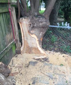 WORX WG303.1 14.5 Amp 16" Electric Chainsaw 16" 14.5Amp Electric Chainsaw 38 815RRtlfdnL