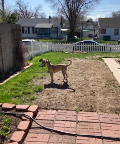 Scotts Turf Builder Grass Seed Sun & Shade Mix, Grows in Extreme Conditions & Spreads for a Durable Lawn, 7 lbs. 1 Pack 7 lb. 57 815U925oVGL 1