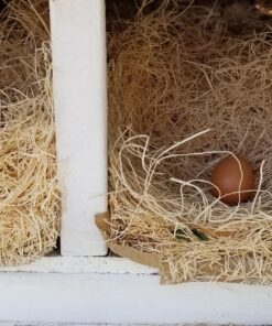 MagJo Premium Aspen 12 Pack Excelsior Nesting Liners (12 Pack), Chicken Bedding for Nesting Box, Nesting Pads Box Liners, Chicken Bedding for coop, Chick Bedding, USA Grown & Sustainably Harvested 38 815WeuUSxiL