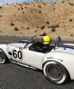 Assetto Corsa - PlayStation 4 Standard Edition 80 815XcbM3PQL