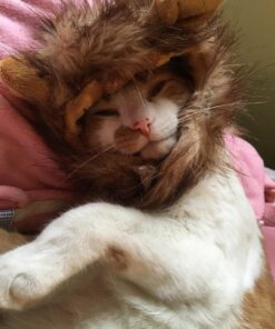 Pet Krewe Cat Lion Mane Halloween Costume – Fits Neck Size 8”-14 - Lion Costume for Small Cats and Kittens – Ideal for Halloween, Cat Birthday, Cat Cosplay, Cat Outfits, Pet Clothes One size fits all 41 815YeT08bzL