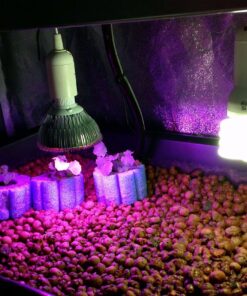 Woods 50006 50006WD Indoor 24-Hour Mechanical Outlet Timer,30 Minute Intervals, Ideal for Automation Holiday Decorations and Christmas Lights, 2 Pack, 2-Pack, Multi, 2 22 815b38VduL