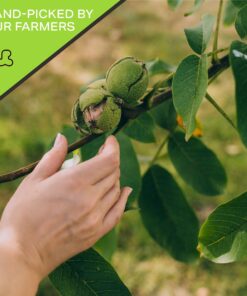 Nut Cravings - Raw Walnuts Halves & Pieces, Unsalted, Shelled, Superior to Organic (32oz - 2 LB) Bulk Nuts Packed Fresh in Resealable Bag - Healthy Protein Snack, All Natural, Keto, Vegan, Kosher Walnuts Raw 2 Pound (Pack of 1) 11 815bBriMKeL