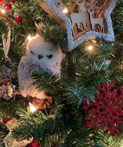 Kurt Adler 1 Set 2 Assorted Brown And White Owl Ornaments,white, grey 28 815dqSsRYL