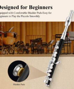 Eastar Piccolo Instrument for Beginners Students, Key of C Piccolo Flute, Resin, with Hard Case, Cleaning Rod, Cloth, Swab and Gloves, 2-Piece, Silver Plated Piccolo, Black, EPC-3S 12 815h4q UeBL