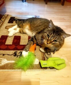 OurPets 100-Percent North American Catnip Filled Carrot Cat Toy 24 Karat OurPets 100-Percent Premium North- American Grown Cosmic Catnip Cat Toy 51 815ivP 6YaL