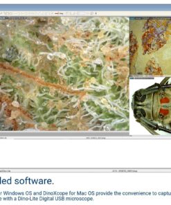 Dino-Lite USB Digital Microscope AM3111-0.3MP, 10x - 50x, 230x Optical Magnification, 8 LEDs 13 815oj9k9z8L