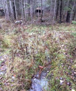 Barronett Blinds Grounder Portable Hunting Blind, Pop-Up Hub Blind, Large Shooting Windows, Bloodtrail Woodland Grounder 250 14 815q5GYxZXL