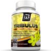 BRI Nutrition Tibullus Terrestris Steroidal Saponins & Protodioscin Supplement, 180 Count 11 815sSGG5DAL 1