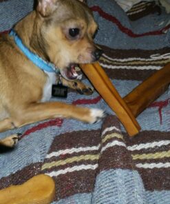 Downtown Pet Supply Yak Cheese Himalayan Dog Chews (1 lb) - 100% Natural, 3 Ingredients, USA Packed - Protein & Calcium Rich Dog Treats for Small to Large Dogs - Long Lasting Rawhide Free Yak Chews 1.00 Pound (Pack of 1) 39 815uuP1MbML