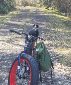 Mongoose Dolomite Mens and Womens Fat Tire Mountain Bike, 26-Inch Wheels, 4-Inch Wide Knobby Tires, 7-Speed, Adult Steel Frame, Front and Rear Brakes Navy Blue 17-Inch/Medium 38 815vkx3QwsL
