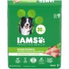 IAMS Adult Minichunks Small Kibble High Protein Dry Dog Food with Real Chicken, 30 lb. Bag,(Packaging may vary) 0 30 Pound (Pack of 1) 10 815zdFzssCL