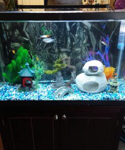 Penn-Plax Deco-Replicas Granite Aquarium Ornament & Hideaway – Realistic Stone Appearance – Safe for Freshwater and Saltwater Tanks – Small Size, White (RR1071) 37 8162SvojEWL