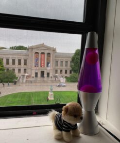 Lamp 2121 Pink/Purple 14.5" Classic Motion Lava(r) Silver, inches 33 8163rVI9fTL