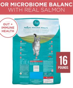 Purina ONE Natural Dry Cat Food, Tender Selects Blend With Real Salmon - 16 lb. Bag 16.00 Pound (Pack of 1) 27 8164lSYMHDL