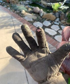 MAGID Extra-Long Thornproof Pruning and Gardening Gloves for Men, 1 Pair, Size 8/M with Forearm Protection, Tan & Purple 20 816DdBV2yUL