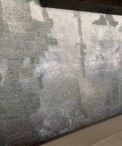 BISSELL Professional Power Shot Oxy Carpet Spot and Stain Remover, 14 ounces, 95C9 51 816GJJ9TCL