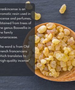 Frankincense Essential Oil for Diffuser and Skin, Stress Relief, Meditation and Yoga, by Pure Body Naturals, 1 Ounce (Label Varies) 1 Fl Oz (Pack of 1) 24 816GnGvaj6L