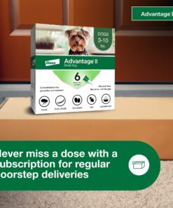 Advantage II Small Dog Vet-Recommended Flea Treatment & Prevention | Dogs 3-10 lbs. | 6-Month Supply 19 816HRFTpUqL