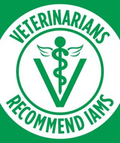 IAMS Adult Minichunks Small Kibble High Protein Dry Dog Food with Real Chicken, 30 lb. Bag,(Packaging may vary) 0 30 Pound (Pack of 1) 33 816IWGKI10L 1