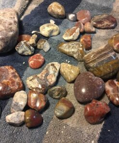 The Original Thumler's Tumbler Accessories Grit Pack #300 7 816IvQn zL