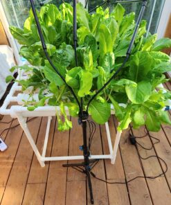 General Hydroponics MaxiGro Plant Food For Vigorous Growth, 2.2 lb 39 816JKjbZa8L