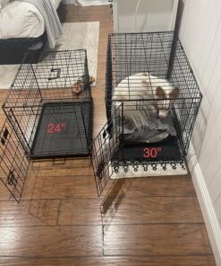 MidWest Homes for Pets Newly Enhanced Single Door iCrate Dog Crate, Includes Leak-Proof Pan, Floor Protecting Feet , Divider Pane l & New Patented Features Medium 37 816JP7CiJCL