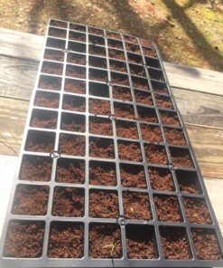 Burpee Self-Watering Seed Starter Tray, 72 Cells 72 Cell Self-Watering Starter 39 816M2OGJ1zL