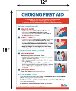 Choking Poster for Infant, Child, Adult - Laminated, 12 x 18 inches - Heimlich Maneuver Poster for Restaurants, Workplace, School Nurse Office - First Aid for Choking 1 9 816ODDM1I0S