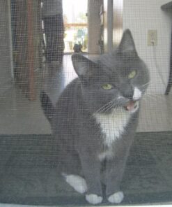 Purina Yesterday's News Non Clumping Paper Cat Litter, Unscented Low Tracking Cat Litter - 30 lb. Bag Original Texture 31 816R813JfHL