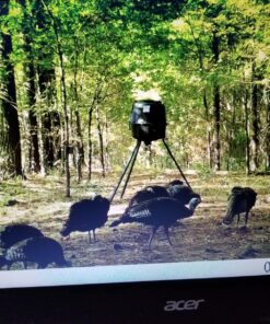 Bushnell Trophy Cam Trail Camera, Brown 16 megapixels 57 816SLTjRIFL