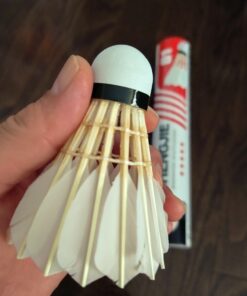 Philonext Goose Feather Badminton Shuttlecocks Birdies, 12 Pack Hight Speed Training Badminton Balls with Great Stability for Indoor Outdoor White 23 816SvX3FYOL