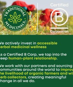 Traditional Medicinals Tea, Organic Raspberry Leaf, Eases Menstrual Cramps, Supports a Healthy Pregnancy, 96 Tea Bags (6 Pack) 16 Count (Pack of 6) 15 816TnyWAdL