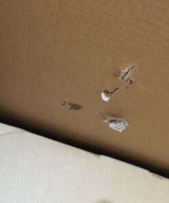 BOSCH RA1181 Benchtop Router Table 27 in. x 18 in. Aluminum Top with 2-1/2 in. Vacuum Hose Port 94 816WjK0Zy2L