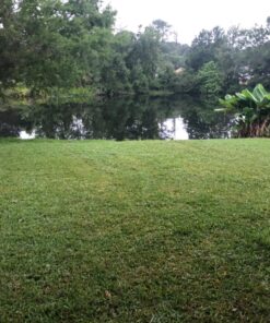 Great States 415-16 16-Inch Reel Mower Standard Full Feature Lawn Mower with T-Style Handle and Heat Treated Blades 16-Inch, 5-Blade Reel Only 52 816X5Wq5O7L