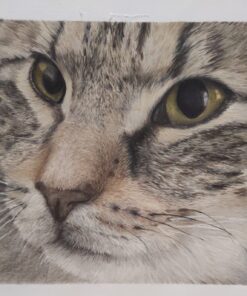 Caran d'Ache Luminance 6901 Clr Pncl Set 76 Artist Rng Pencil Set 45 816XLYiAEUL