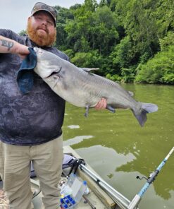 Seaguar Blue Label 100% Flourocarbon Fishing Line Leader, Freshwater, Multiple Sizes 60-Pounds/25-Yards 60lbs/25yds 21 816XUdiiGL