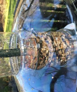 Weather Guard for Squirrel Buster Plus Bird Feeder (FEEDER NOT INCLUDED) 13" Diameter 37 816aKqB5fwL