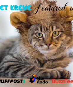 Pet Krewe Cat Lion Mane Halloween Costume – Fits Neck Size 8”-14 - Lion Costume for Small Cats and Kittens – Ideal for Halloween, Cat Birthday, Cat Cosplay, Cat Outfits, Pet Clothes One size fits all 27 816bByfiCiL