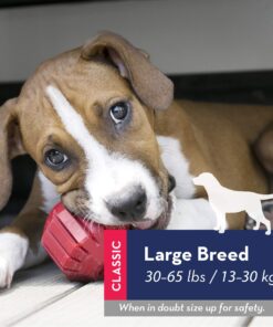 KONG Stuff-A-Ball Treats Dispense Dog Toy - Stuffable Dog Toy - Stuff Treats for Mental Enrichment - Dental Dog Toy for Healthy Teeth & Gums - Large Dogs Standard Packaging 18 816c1xaDOAL