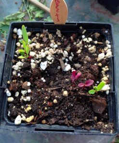 TeaDrops Organic All Purpose Plant Fertilizer – 16 Liquid Indoor House Plant Food Packets – Make up to 32 Gallons (Easy use in Watering Can & Containers, Ecofriendly) All Purpose Fertilizer 59 816cZeXzCbL