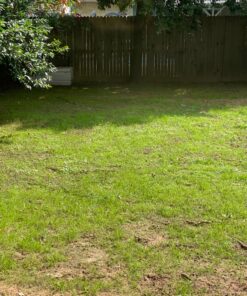 Jonathan Green (10840) Fast Grow Grass Seed - Cool Season Lawn Seed (7 lb) 7 pounds 25 816eY6EZacL