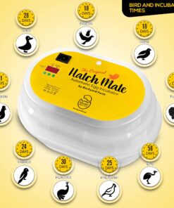 HatchMate™ Egg Incubator with Automatic Egg Turning and Humidity. Small & Portable for Hatching 9-12 Eggs. Hatch Chickens Quail Duck Turkey Parakeet & More Tabletop Incubator for Home or School Classroom 24 816g4NqWX4L